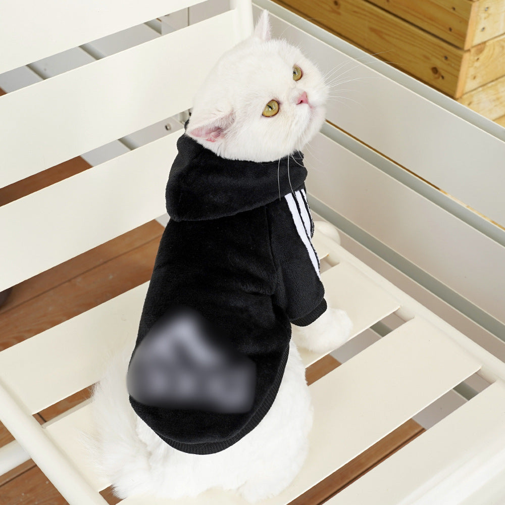 Pet clothing Flannel two feet fashion brand hoodie word bitch dog cat small medium and large dog supplies