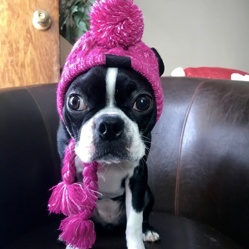 Warm soft cotton wool small medium-sized dog dog cat hat and headgear