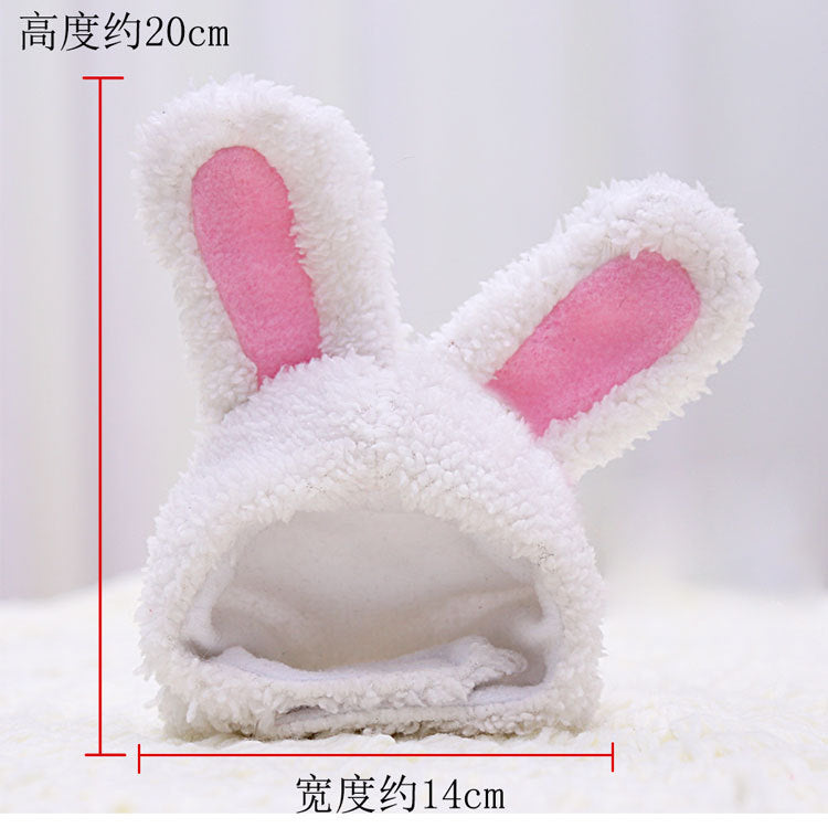Cute warm soft cotton wool small medium-sized dog dog cat white rabbit hat set supplies