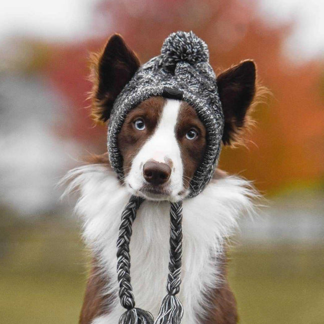 Warm soft cotton wool small medium-sized dog dog cat hat and headgear