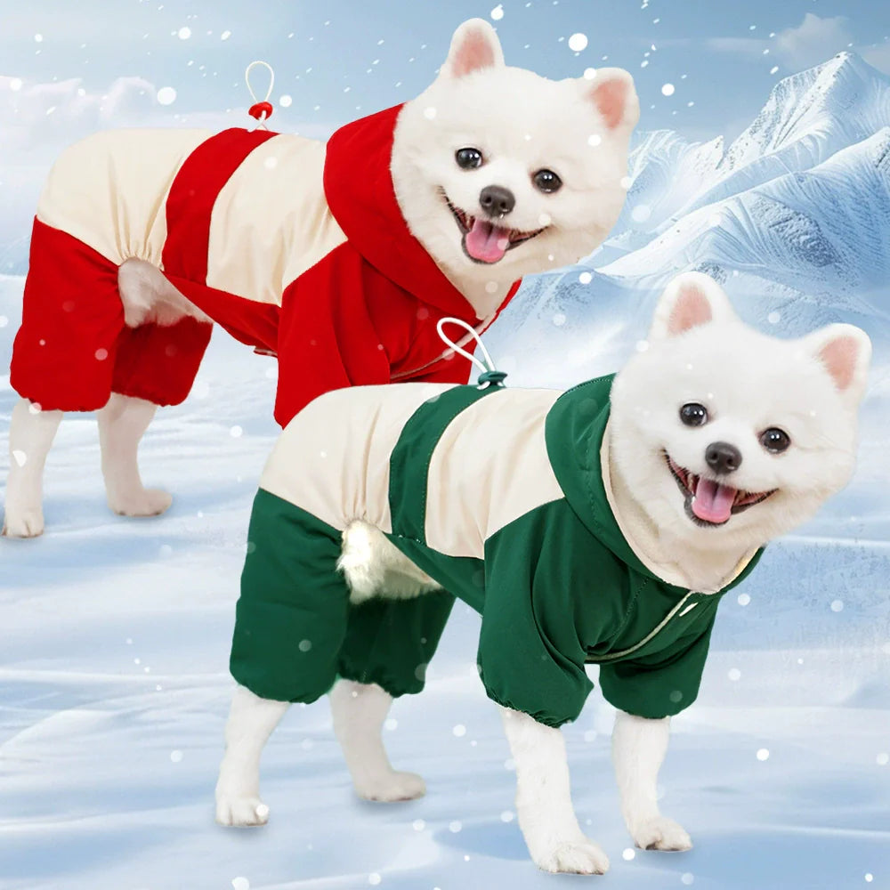 Autumn winter puppy kitten apparel four-legged