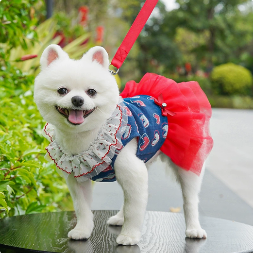 Spring and Summer Denim Fluffy Skirt with Back Hook for Pulling in Pets - Dog or Cat Princess Dress