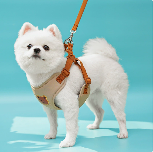 New style chest and back harness with leash. Suitable for small and medium-sized dogs.