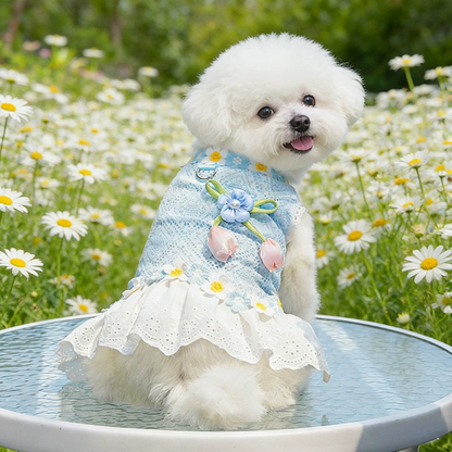 Dog dress spring/summer clothes small dog summer style