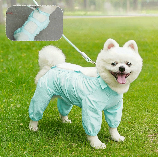 Dog and Cat Clothes - Waterproof, Dustproof, and Stain-resistant Four-Paw Pants