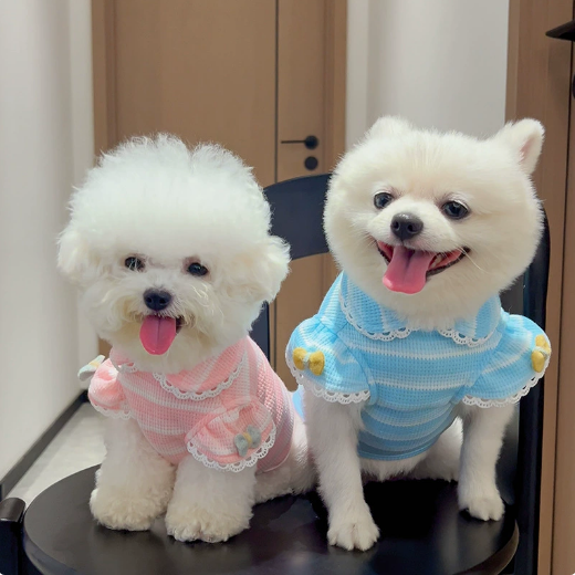 Dog and cat clothing - lace knitted bubble sleeve pullover - pet summer wear