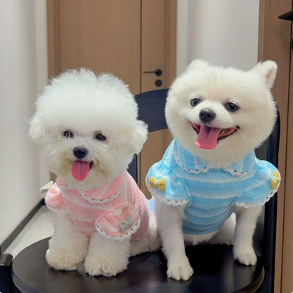 Dog and cat clothing - lace knitted bubble sleeve pullover - pet summer wear