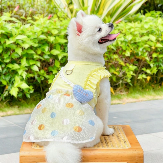 Doggy skirt, ice silk ultra-thin elastic pet clothes, summer anti-dander pet clothes