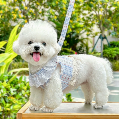 Pet dog and cat lace jacquard bra-back straps for summer breathable clothes, outdoor items, with leash attachment.