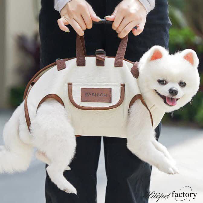 Dog and cat travel bag, shoulder bag, handbag