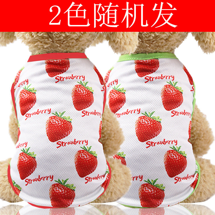 Pet fruit strawberry banana printing VIP teddy puppy dog clothes cat skirt T-shirt vest supplies factory