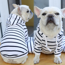 Pet dog cat Hoodie Striped clothing supplies spring and summer