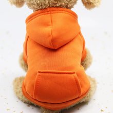 Autumn and winter hoodie denim pocket two-legged clothing Sports style pet clothing Dog cat pet clothing supplies