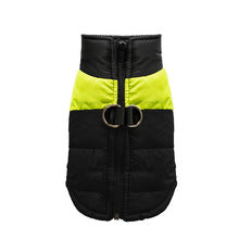 Autumn and winter thickened warm cotton vest pet cat dog teddy dog clothing supplies wholesale