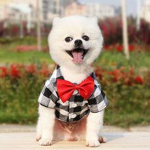 Plaid shirt suit wedding dress dog and cat costume