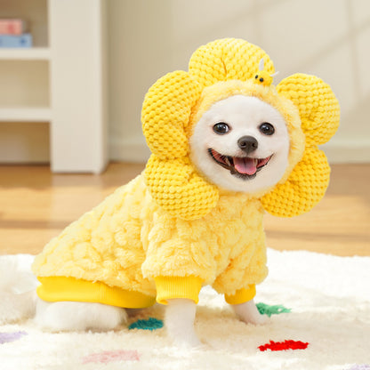 New products of autumn and winter clothing items - Sunflower dog hats transformed into  jackets