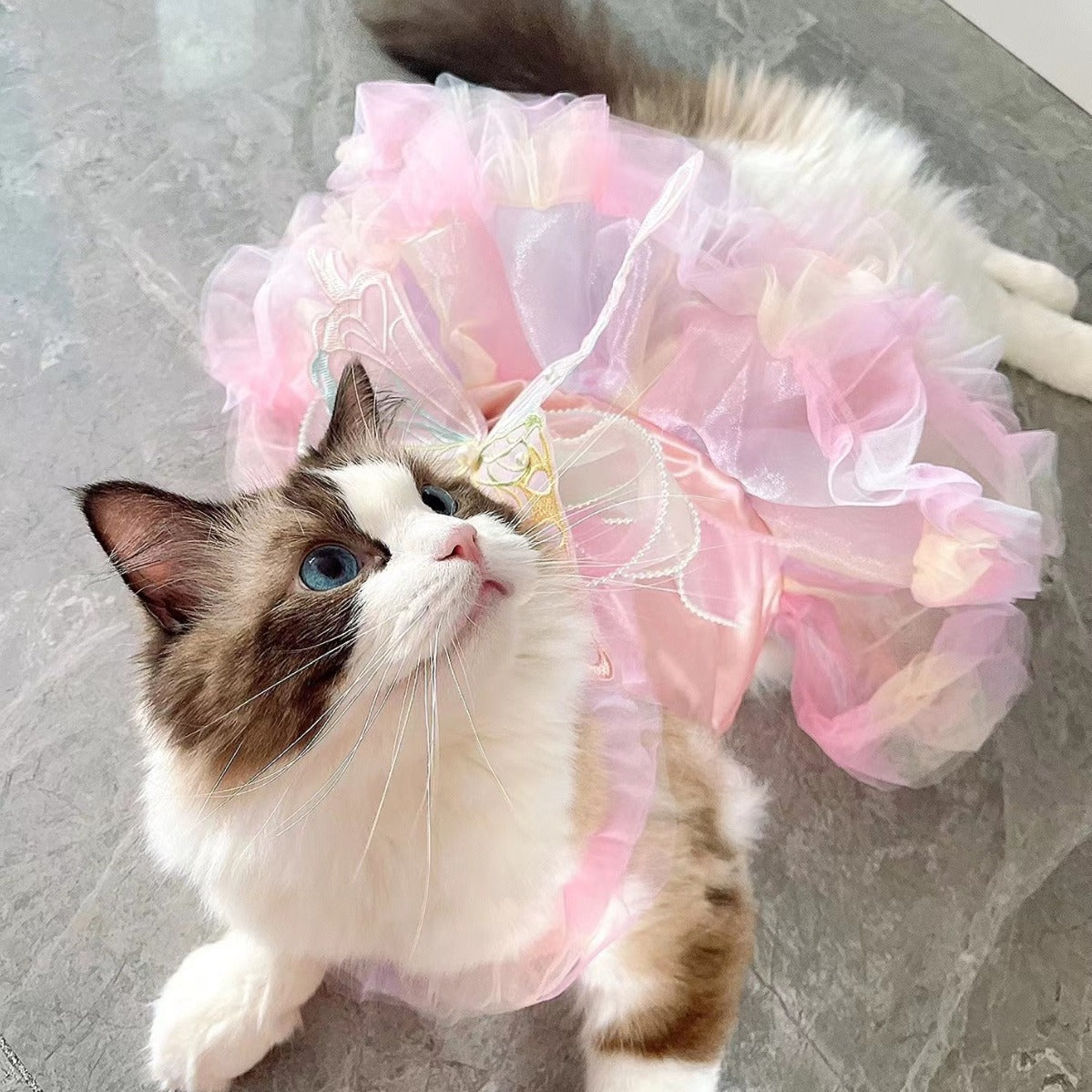 Pet dog butterfly princess dress wedding dress dog and cat clothing