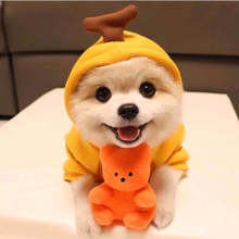 Turn dog cat small medium-sized dog autumn and winter hoodie fleece clothing supplies pet