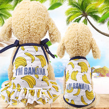 Pet fruit strawberry banana printing VIP teddy puppy dog clothes cat skirt T-shirt vest supplies factory