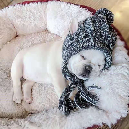Cute fashion wool dog cat hat
