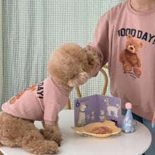 Cute autumn and winter warm Korean version of dog cat pet teddy clothing supplies than bear hoodie manufacturers