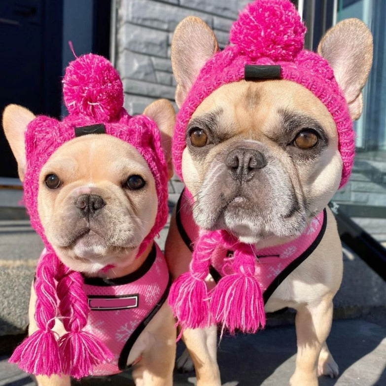 Warm soft cotton wool small medium-sized dog dog cat hat and headgear