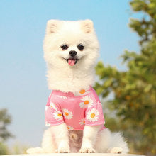 Dog cat clothes Spring summer fall new travel pet clothes small medium-sized dog Daisy