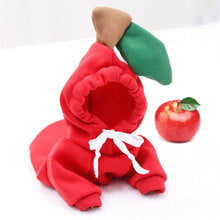 Small medium-sized dog fruit hoodie dog cat Autumn and winter hoodie fleece clothing supplies pet Teddy