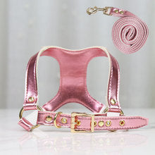 Dog cat chest strap leash Pet supplies for walking dogs out small, medium and large dogs