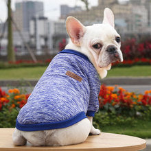 Dog cat pet clothes Autumn and winter hoodie two legs clothing supplies wool small medium-sized dog