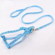 Pet nylon outdoor explosion-proof impact leash walking dog chain cat traction chest strap supplies manufacturers wholesale