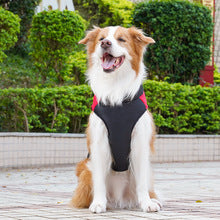 Pet clothing autumn and winter out warm cotton vest dog dog cat medium and large dog clothing wholesale