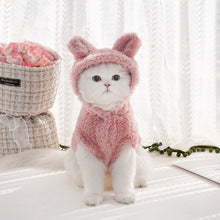 Pet clothing autumn and winter new rabbit ear soft cotton wool hoodie dog clothing supplies