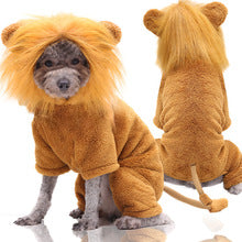 Autumn and winter four-legged flannel warm dog cat pet Teddy lion into clothes