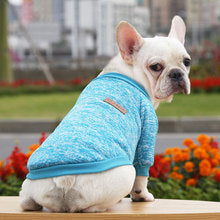 Dog cat pet clothes Autumn and winter hoodie two legs clothing supplies wool small medium-sized dog