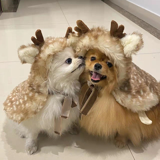 New Year pet hat and head set cute dress into dog and cat accessories
