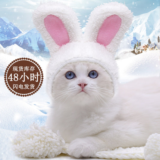 Cute warm soft cotton wool small medium-sized dog dog cat white rabbit hat set supplies