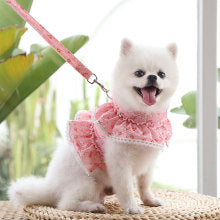 Dog cat pet clothing Chest strap leash Lace lace Teddy Bichon Spring summer fall dog leash supplies