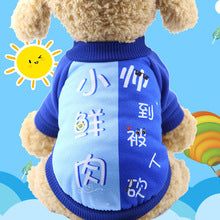 Dog clothes autumn and winter New Year cartoon cute hoodie teddy Corgi cat pet clothing wholesale