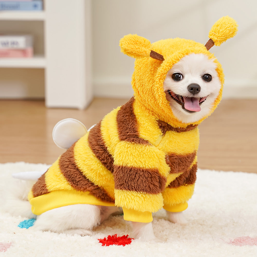 Pet clothing transforms into warm winter and autumn dog and cat outfits