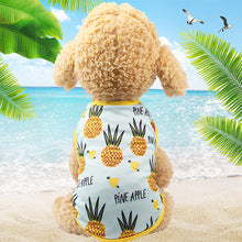 Pet small medium-sized dog law fight cat Teddy dog clothes spring summer sunscreen cooling vest wholesale