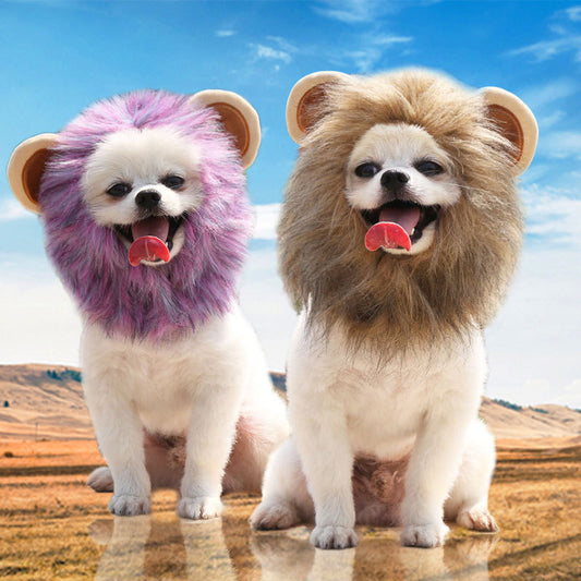 Halloween lion turns into an adjustable pet hat