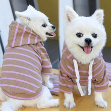 Pet dog cat Hoodie Striped clothing supplies spring and summer