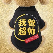 Dog clothes autumn and winter New Year cartoon cute hoodie teddy Corgi cat pet clothing wholesale