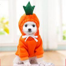 Small medium-sized dog fruit hoodie dog cat Autumn and winter hoodie fleece clothing supplies pet Teddy