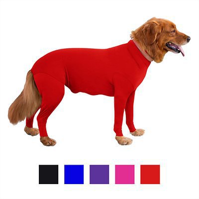 Medium and large dog base full pack four-legged autumn and winter dog clothes four-legged clothes