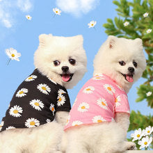 Dog cat clothes Spring summer fall new travel pet clothes small medium-sized dog Daisy