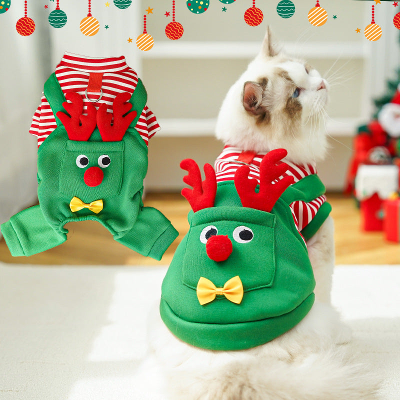 Pet clothes for Christmas holiday - four-legged outfits and jackets