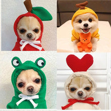 Turn dog cat small medium-sized dog autumn and winter hoodie fleece clothing manufacturers direct sales