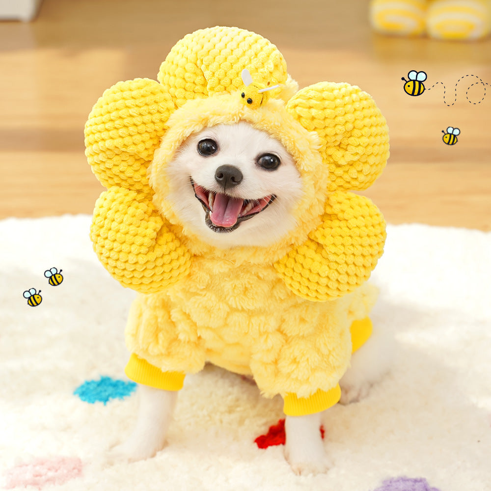 New products of autumn and winter clothing items - Sunflower dog hats transformed into  jackets